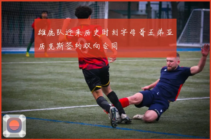 雄鹿队迎来历史时刻字母哥五弟亚历克斯签约双向合同