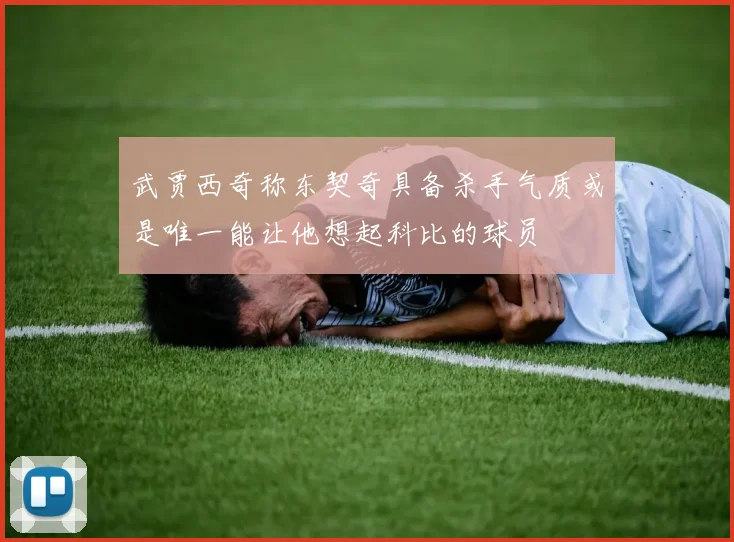 武贾西奇称东契奇具备杀手气质或是唯一能让他想起科比的球员